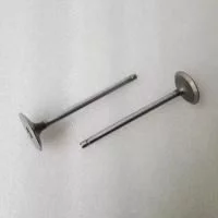 купить Клапан выпускной (на 5490) / Германия